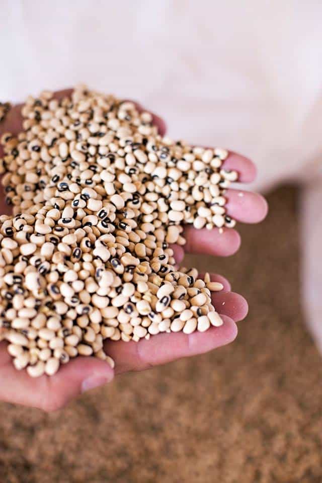blackeyepeas